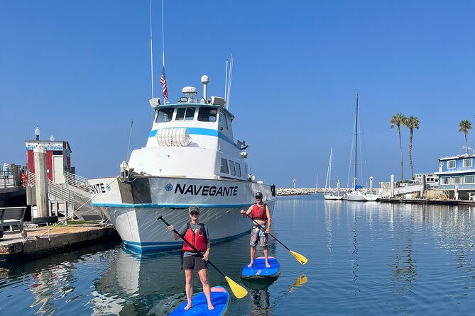 stand-up-paddle-board-redondo-beach