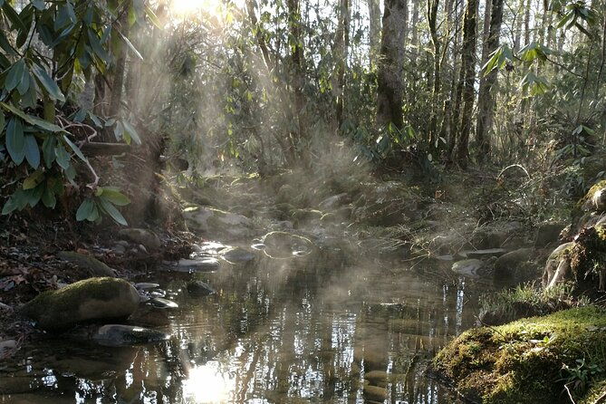 stroll-back-in-time-smokies-history-streams-and-forest-hike