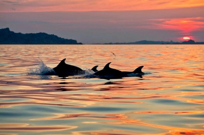 sunrise-kayak-tour-with-snorkeling-and-breakfast