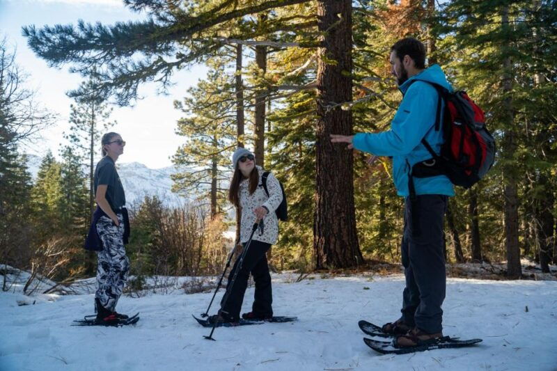 sunset-snowshoe-guided-hike
