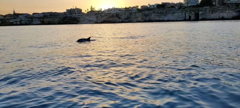 syracuse-ortigia-island-and-sea-caves-boat-tour