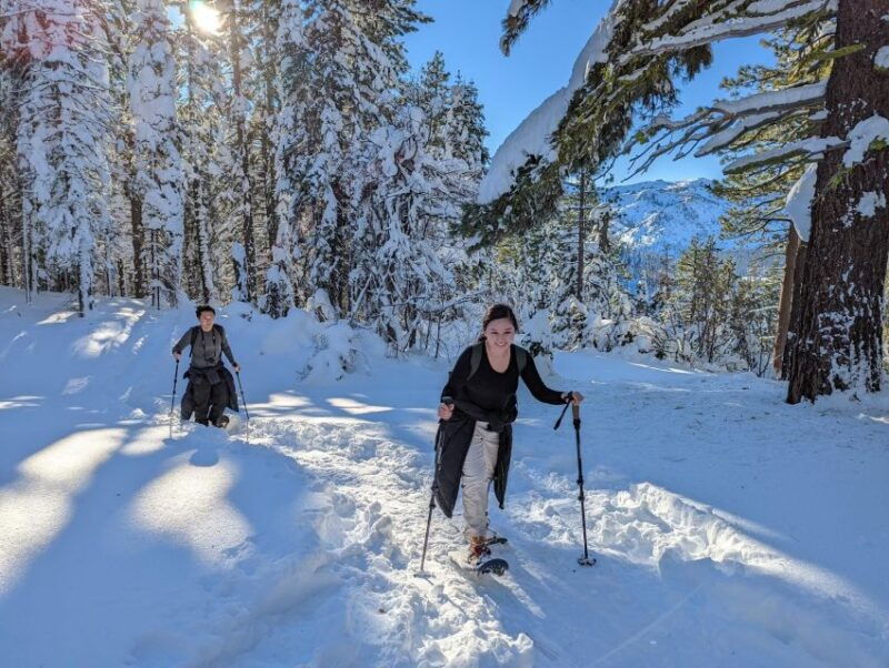 tahoe-city-beginner-and-family-friendly-snowshoe-tour