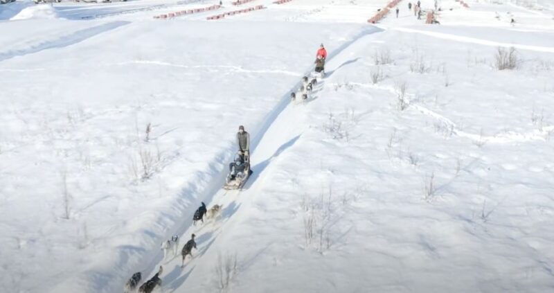 talkeetna-alaskan-winter-dog-sledding-experience
