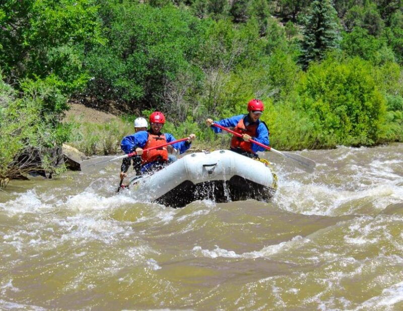 telluride-whitewater-rafting-morning-half-day