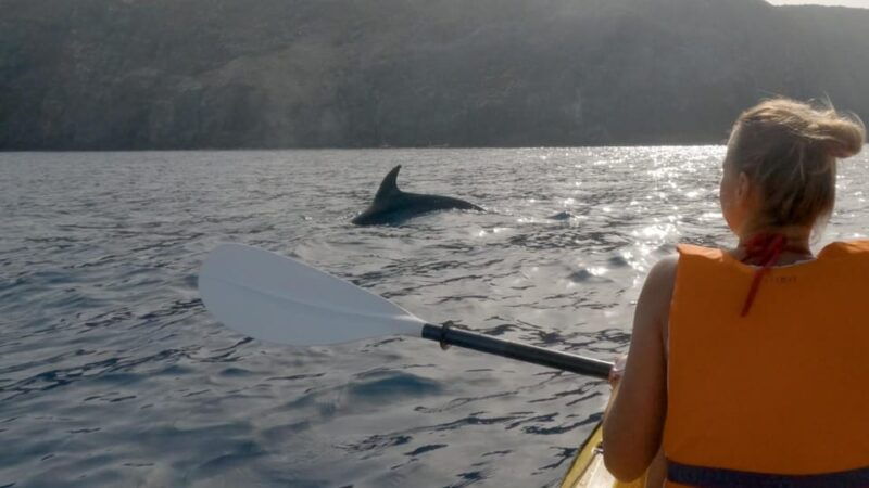 tenerife-kayak-snorkeling-tour-small-groups