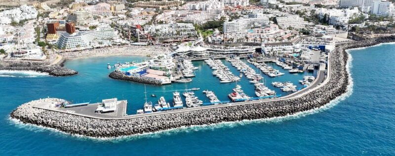 tenerife-whale-watching-and-snorkeling-yacht-trip