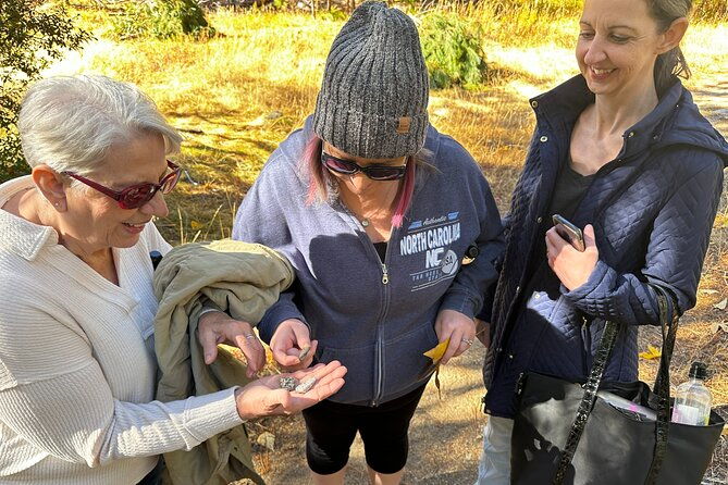 the-evolution-of-yosemite-3-hour-walking-tour