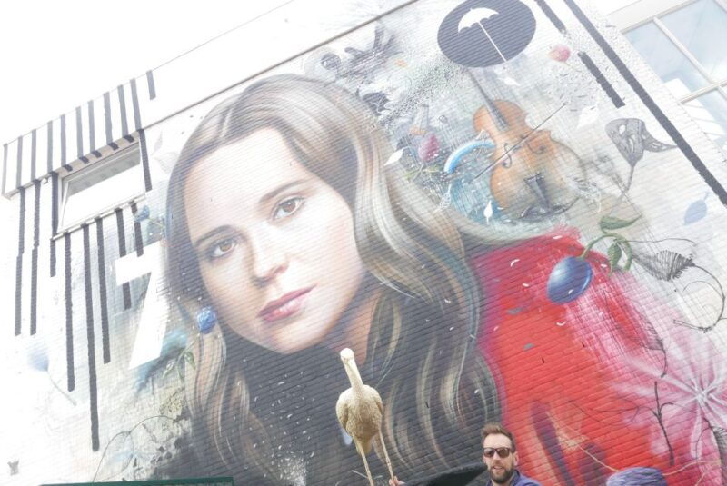 the-hague-street-art-tour-by-bike