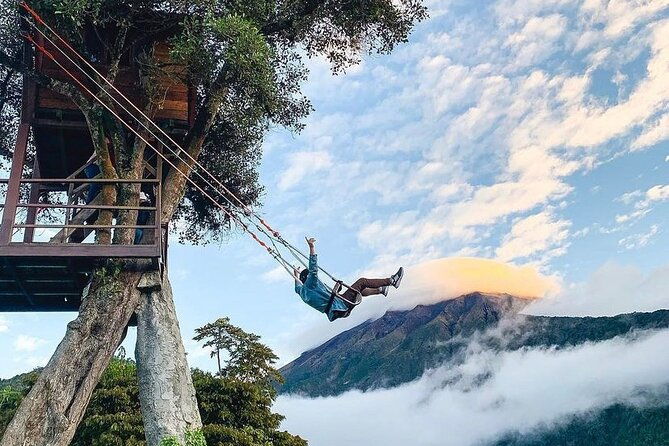 the-tree-house-tours-swing-at-the-end-of-the-world-viewpoint