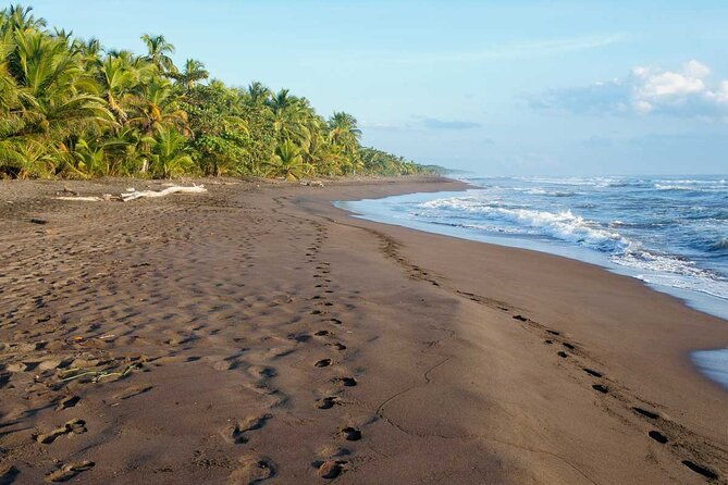 tortuguero-national-park-admission-ticket