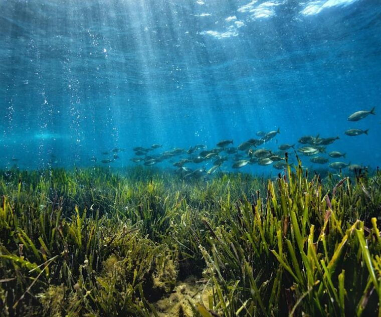 tour-capo-milazzo-marine-protected-area