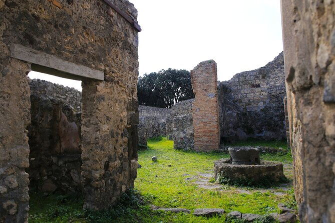 tour-of-pompeii-with-skip-the-line-tickets-exclusive-guide
