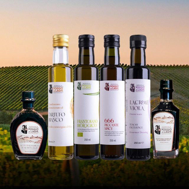 tour-san-gimignano-monteriggioni-the-routes-of-tuscan-taste