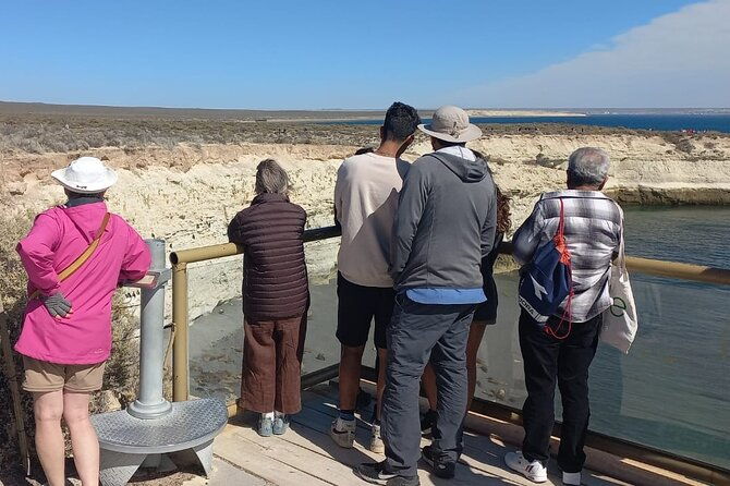 tour-south-circuit-best-of-puerto-madryn-in-4-hours