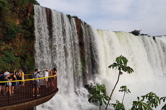 tour-to-iguazu-falls-brazil-with-visit-at-the-bird-park