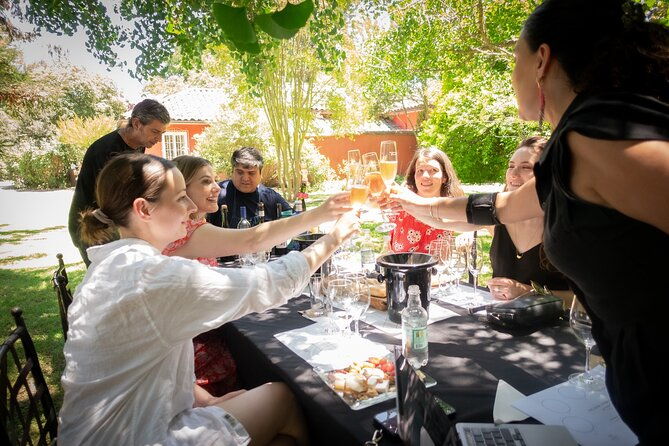 tour-to-maipo-boutique-wineries