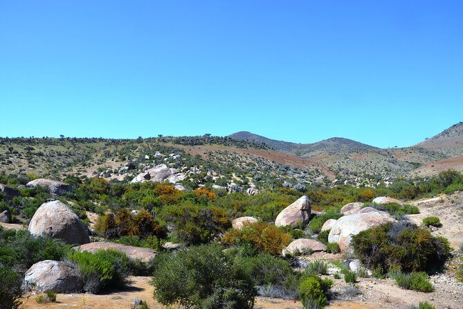 tour-to-valle-del-encanto-archeology-petroglyphs-flora-fauna-and-springs