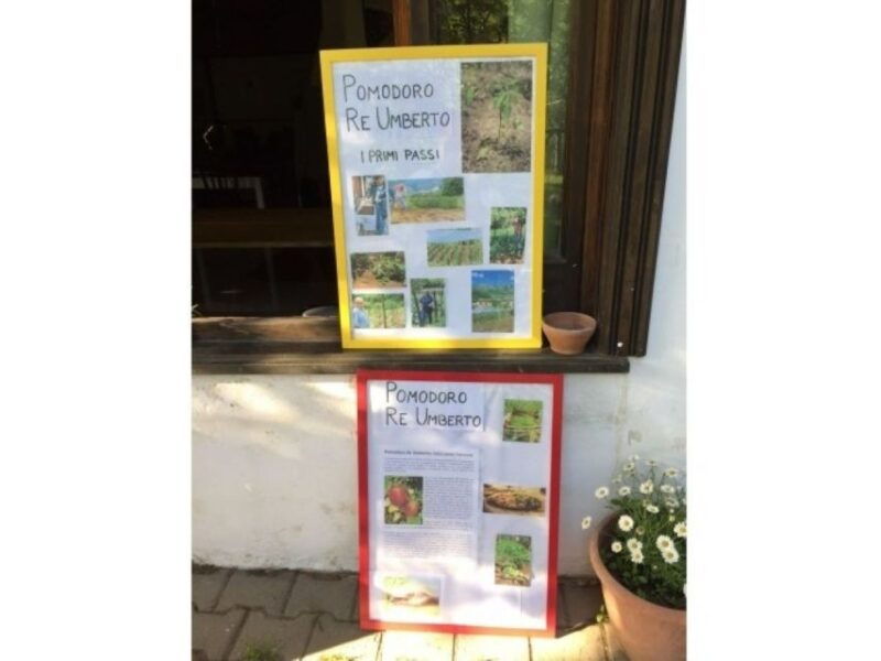 tramonti-re-fiascone-experience-1-hour-food-wine-tasting
