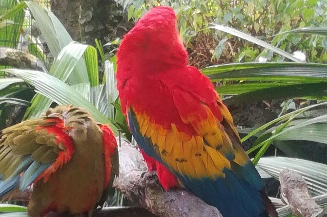 transport-from-san-jose-to-la-fortuna