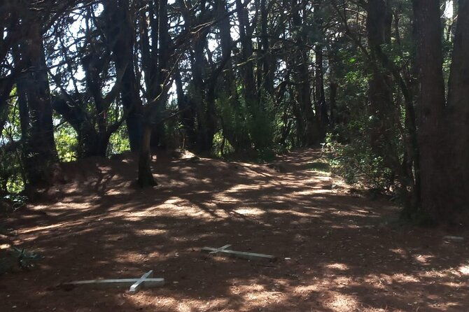 travel-through-the-mountains-of-heredia-and-alajuela