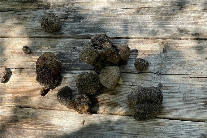 truffle-hunting-culinary-wine-celebration-from-elounda