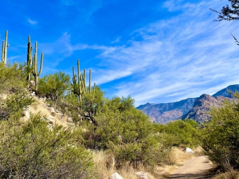 tuscon-rancho-cerros-horseback-riding-with-amazing-views