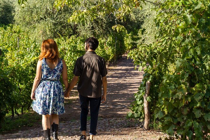 ultimate-maipu-adventure-winery-tour-gourmet-lunch