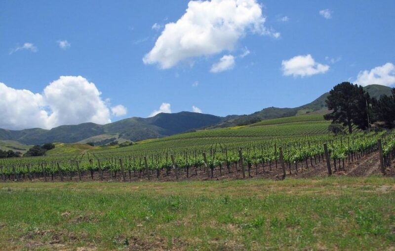 uncork-santa-barbara-a-private-wine-country-tour