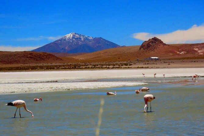 uyuni-salt-flat-and-eduardo-avaroa-park-3-day-tour
