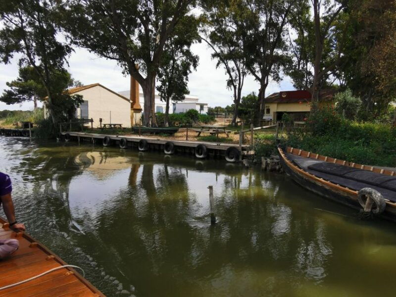 valencia-albufera-natural-park-bike-and-boat-tour