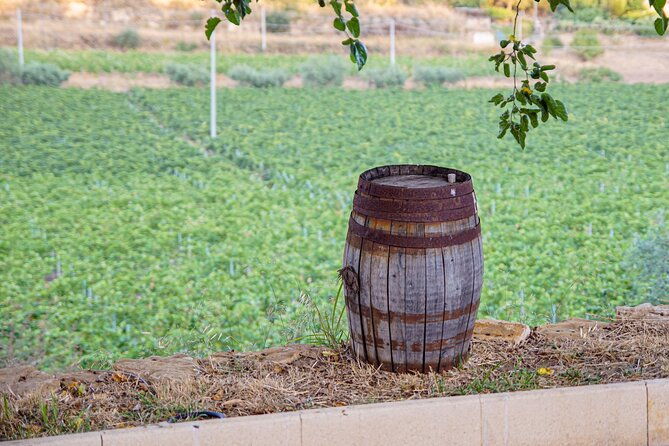 valley-of-the-ferle-with-wine-tasting-and-lunch-in-caltagirone