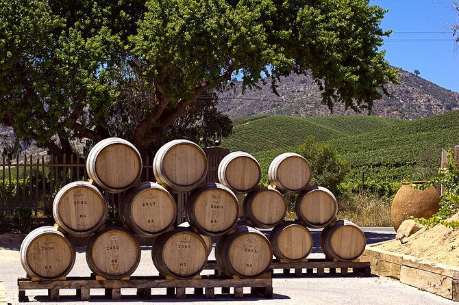 valparaiso-wine-tour-to-casablanca