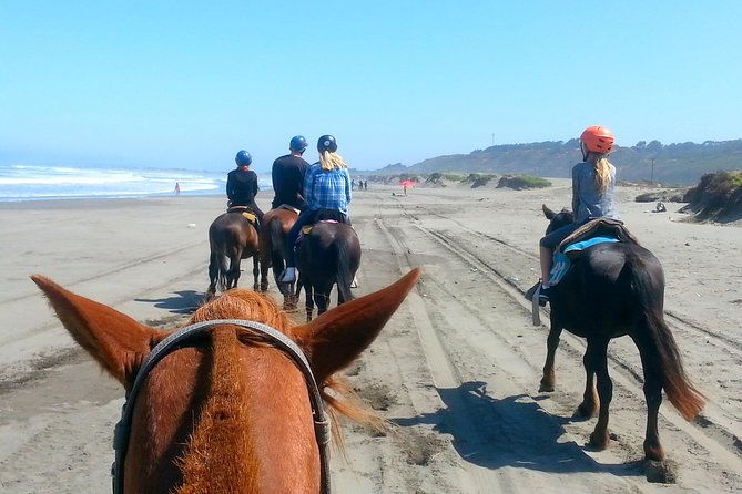 vina-del-mar-and-valparaiso-private-tour-including-horseriding