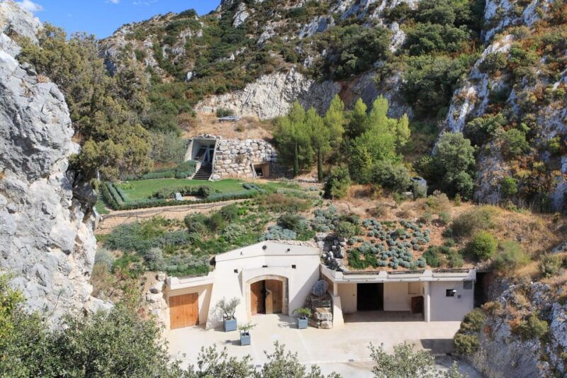 vineyard-of-the-alpilles-by-bike