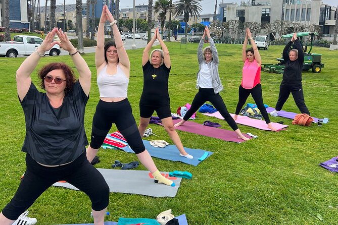 vinyasa-yoga-class-on-the-beach-in-santa-monica