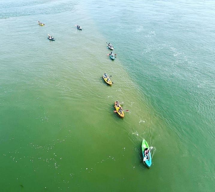 virginia-beach-dolphin-kayak-tour-this-is-a-workout
