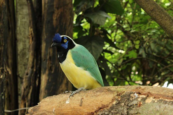 visit-to-la-reserva-biopark-private-tour-6-hrs