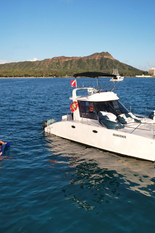 waikiki-sea-turtle-snorkeling-small-group-boat-tour