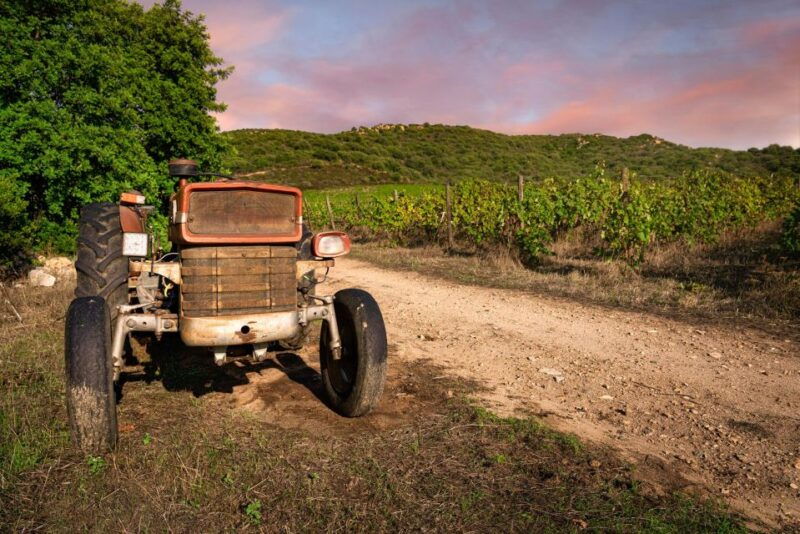 walk-through-our-vineyard-and-aperitif
