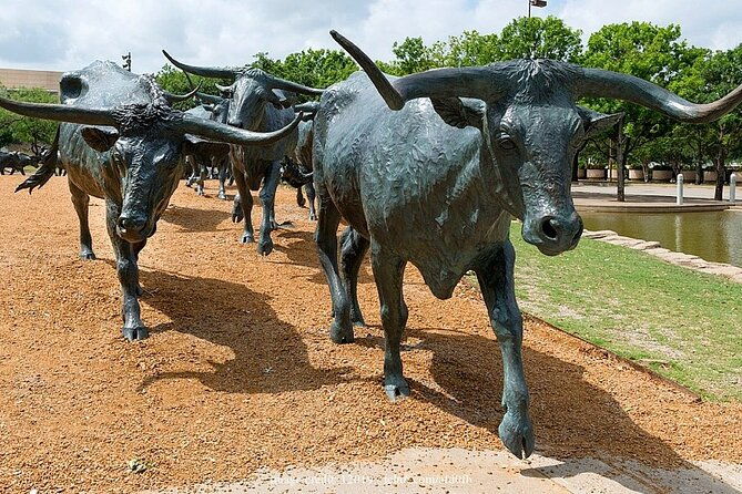 welcome-to-dallas-private-half-day-walking-tour