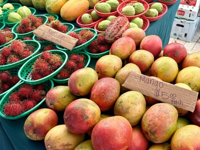 west-palm-beach-mornings-in-the-market-food-tour