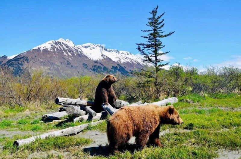 wildlife-center-with-lunch-local-beer-sampling