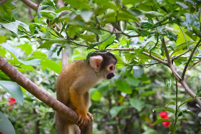wildlife-rescue-center-in-nature-reserve-near-santa-cruz