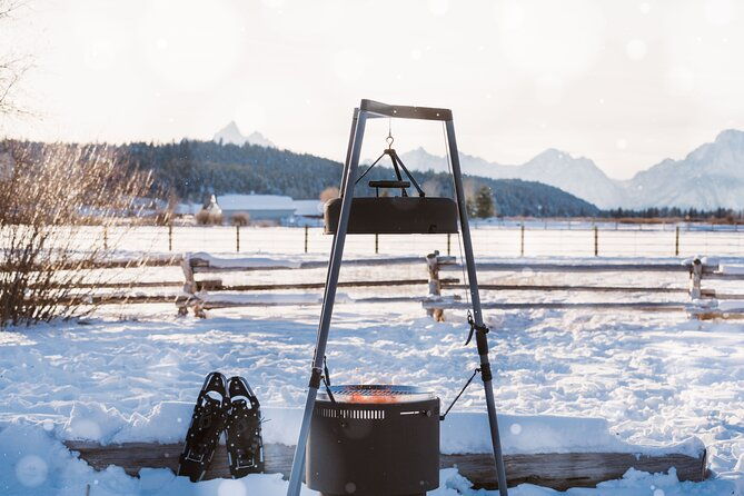 wildlife-safari-with-snowshoe-winter-camp-dinner-experience