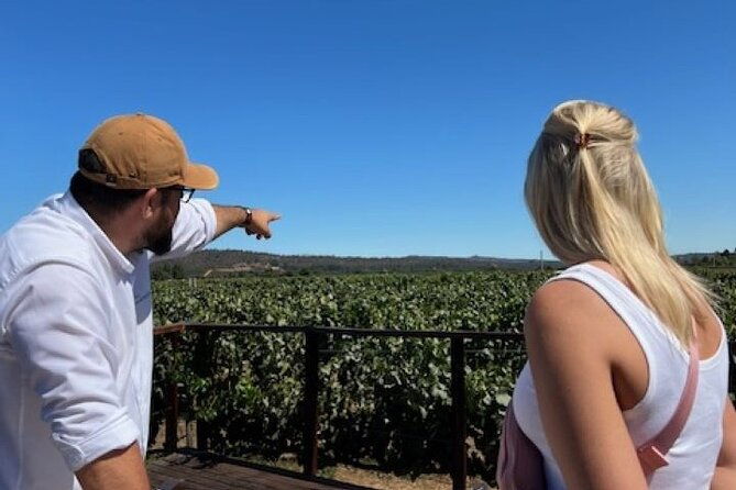 wine-tasting-day-tour-to-vineyard-casas-del-bosque-in-casablanca