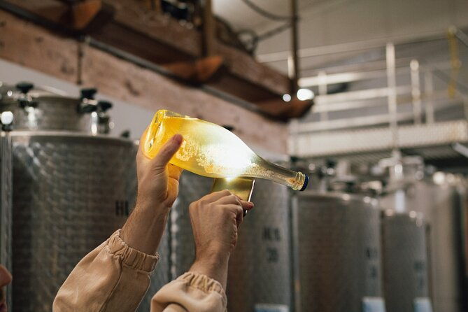 wine-tasting-on-the-hills-of-bologna-in-dozza