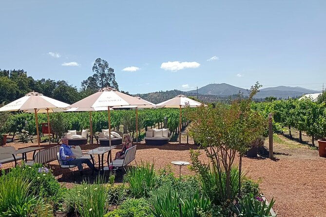 wine-tour-casas-del-bosquebodegas-re-vineyards-casablanca-valley