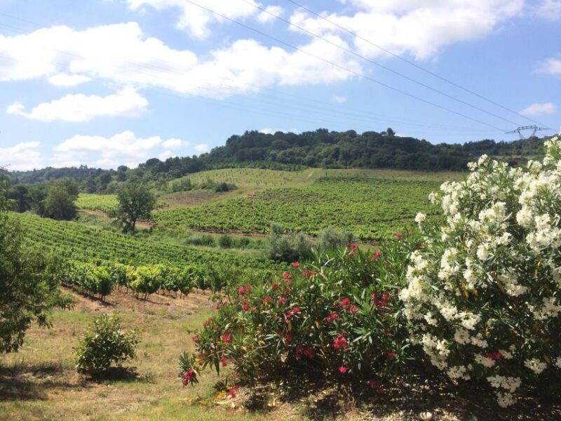 wine-tour-cathar-country
