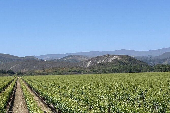 wine-tours-of-santa-barbara-county