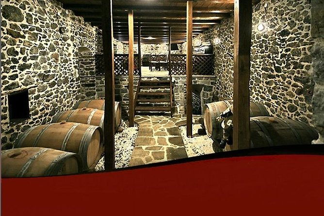 wine-tours-tasting-in-family-wineries-in-arcadia-or-nemea